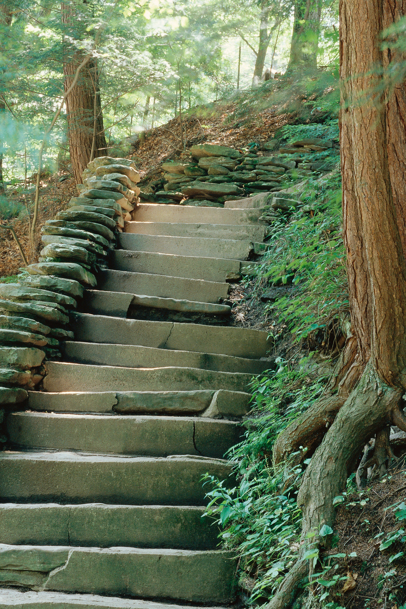 Steps on wooden path